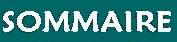 SOMMAIRE